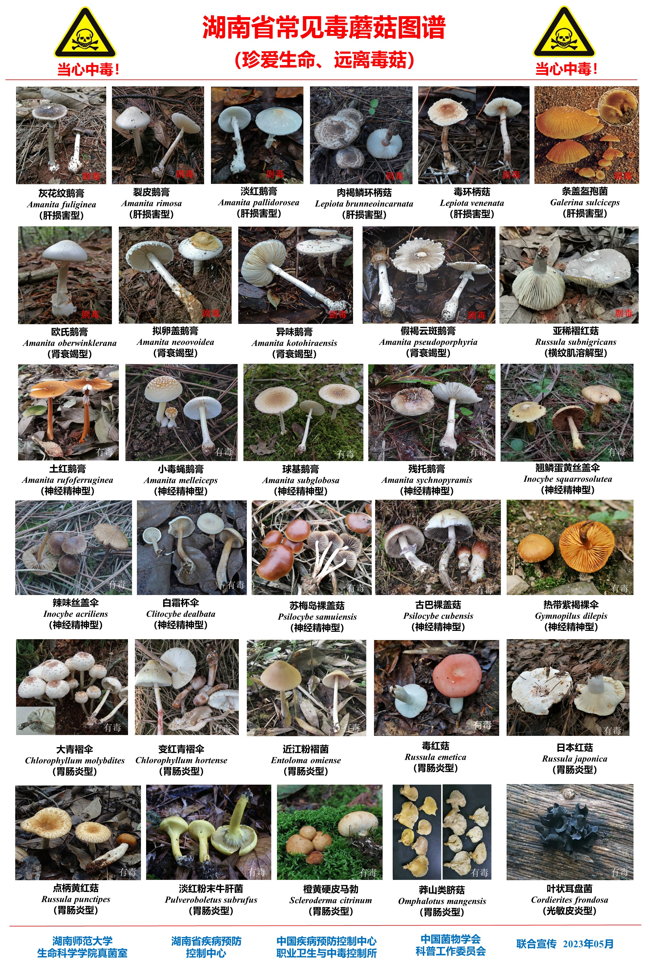 1691973202965.jpg 微信图片_20230803165039.jpg