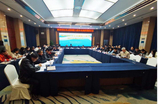 1703839783523.png QQ截图20231229101126.png