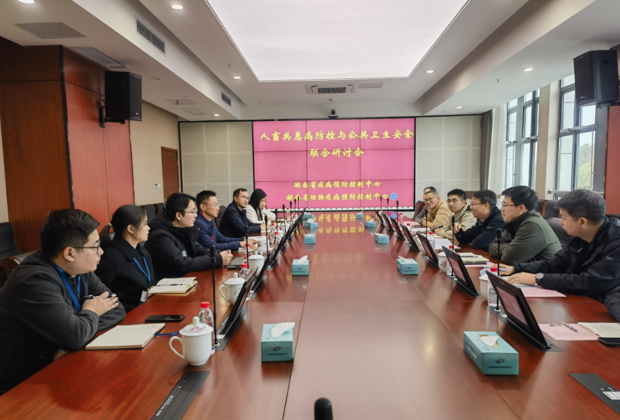 1705306694867.png 1.png