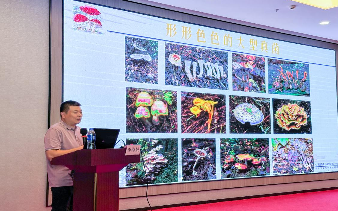 1726107811279.png 图片2.png