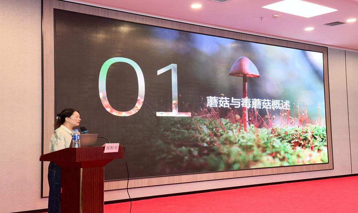 1726107832827.png 图片4.png