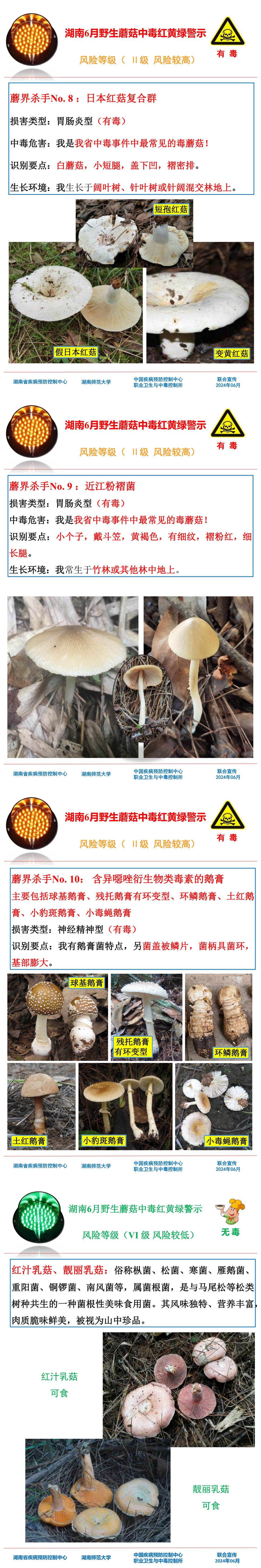 湖南6月野生蘑菇中毒红黄绿警示_01.png