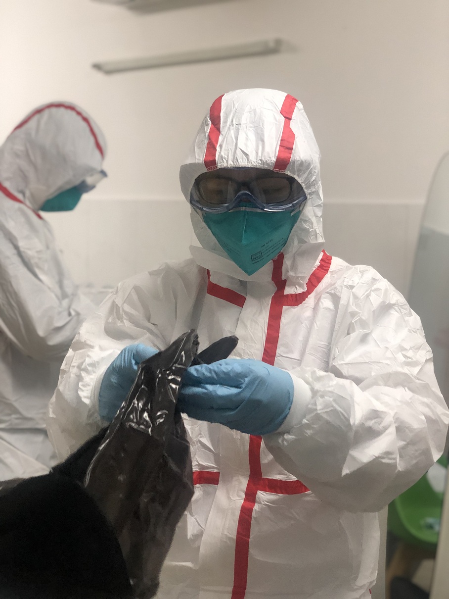 开福投稿2月3日1.jpg 开福投稿2月3日1.jpg