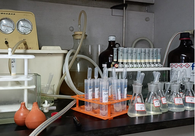 图片9.png 图片9.png