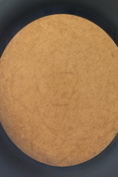 图片9.png 图片9.png