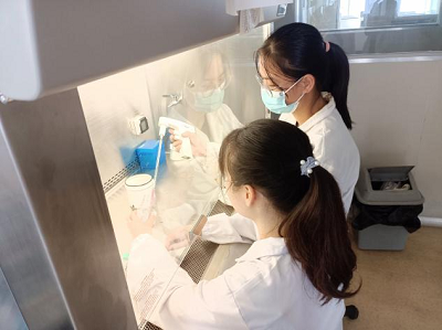 图片9.png 图片9.png