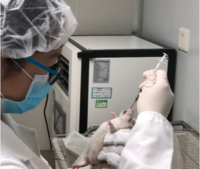 图片8.png 图片8.png