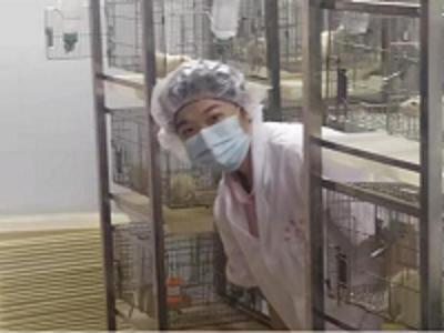 图片8.png 图片8.png