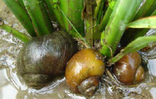 微信图片_20220311115411.png 微信图片_20220311115411.png