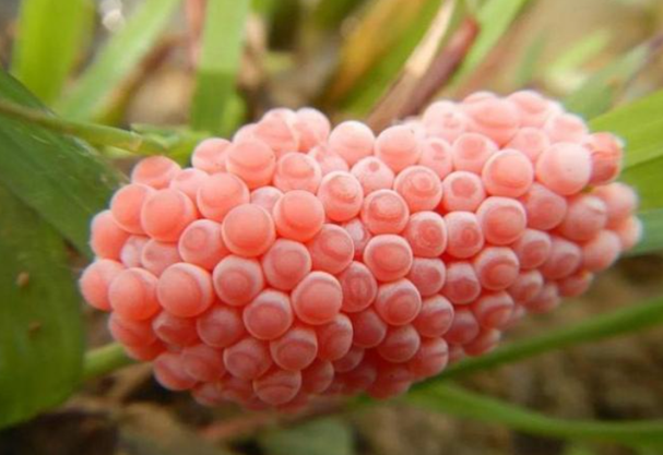 微信图片_20220311115526.png 微信图片_20220311115526.png