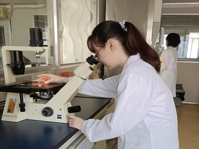 图片8.png 图片8.png