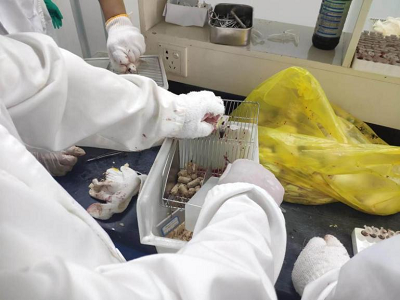 图片3.png 图片3.png