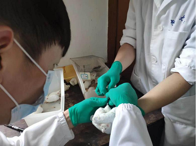 图片1.png 图片1.png